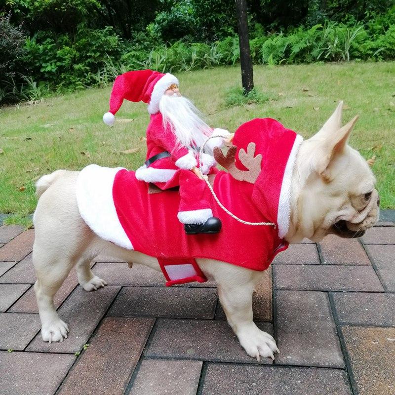 Fun Holiday Pet Outfit - Cofik