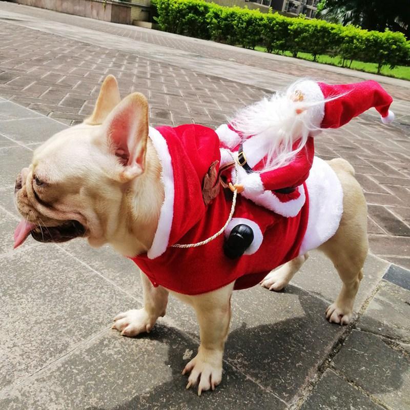 Fun Holiday Pet Outfit