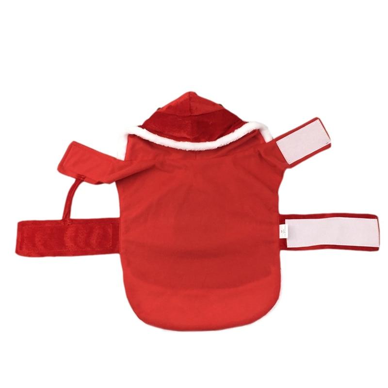 Fun Holiday Pet Outfit