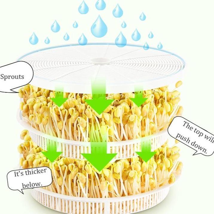 Easy Seed Sprouter Kit
