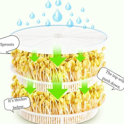 Easy Seed Sprouter Kit