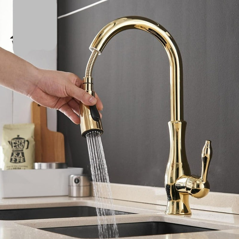 Contemporary Pull-Out Kitchen Faucet - 360° Spin Stainless Steel