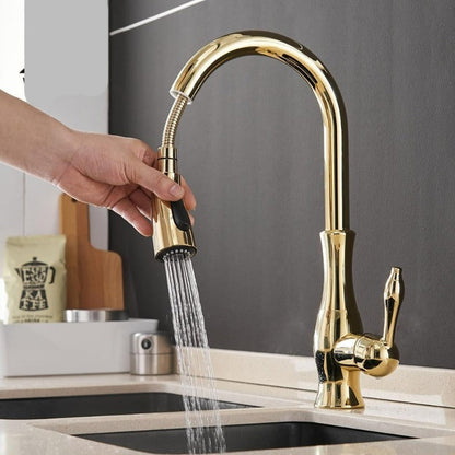 Contemporary Pull-Out Kitchen Faucet - 360° Spin Stainless Steel