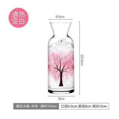 Clear Insulated Refreshing Water Bottle