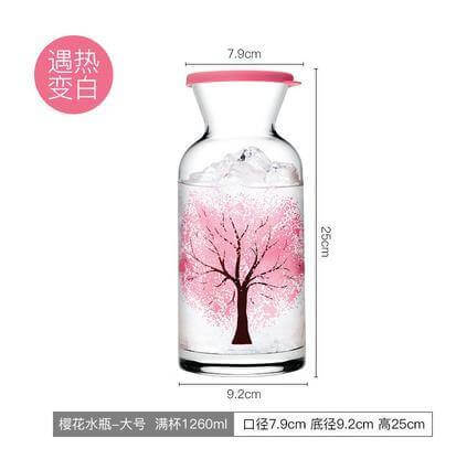 Clear Insulated Refreshing Water Bottle