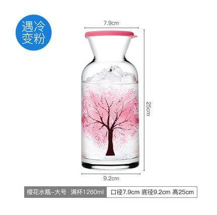 Clear Insulated Refreshing Water Bottle