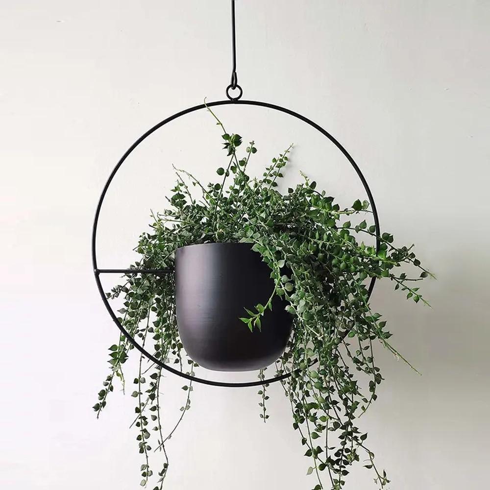 Stylish Metal Wall Ceiling Plant Hanger