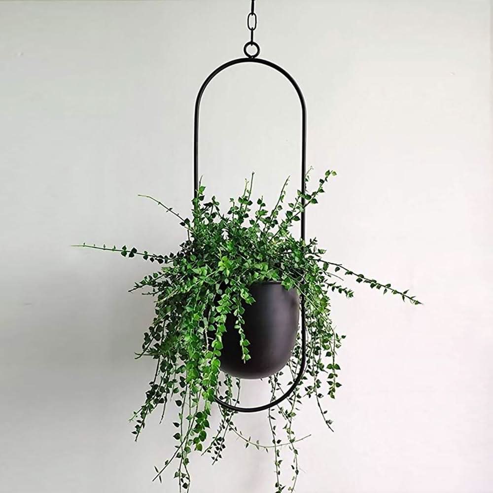 Decorative Metal Wall Planter Holder - Cofik