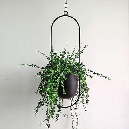 Stylish Metal Wall Ceiling Plant Hanger - Cofik