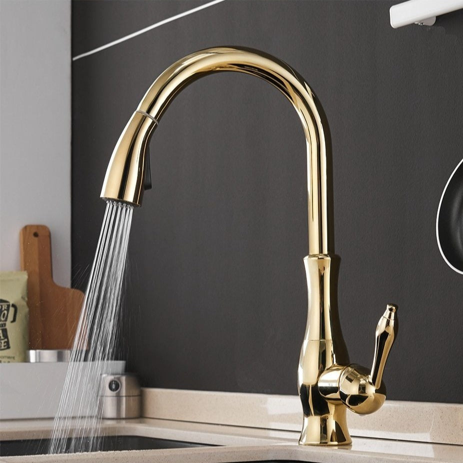 Contemporary Pull-Out Kitchen Faucet - 360° Spin Stainless Steel