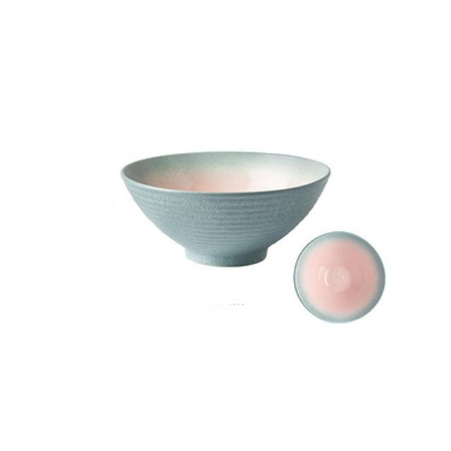 Colorful Japanese Noodle Soup Bowl Set