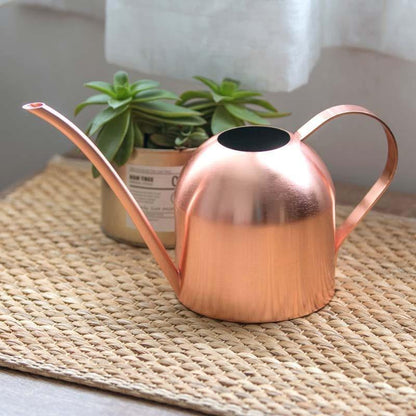 Durable Stainless Steel Watering Can with Long Spout