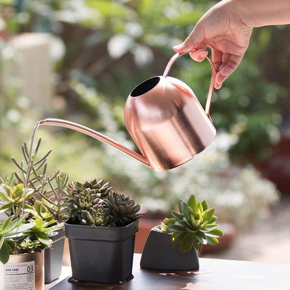 Durable Stainless Steel Watering Can with Long Spout
