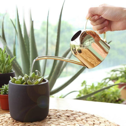 Durable Stainless Steel Watering Can with Long Spout