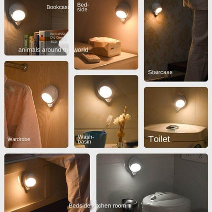 Rechargeable 360 Degree Adjustable LED Desk Lamp