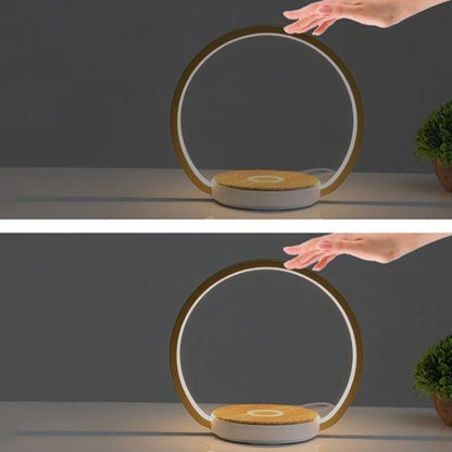 Modern Scandinavian Style LED Desk Lamp