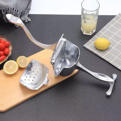 Big Stainless Steel Hand Juice Extractor