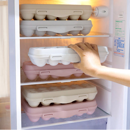 Compact Plastic Egg Holder Storage