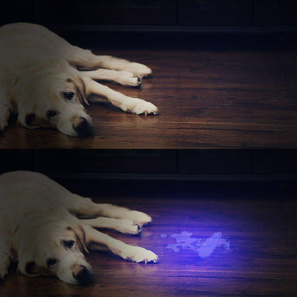 Bright LED Blacklight Flashlight Detector