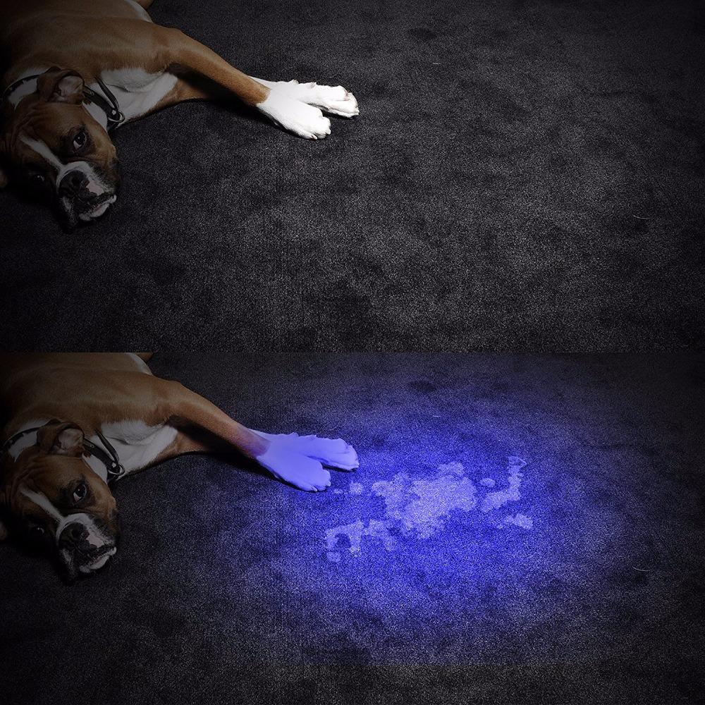 Bright LED Blacklight Flashlight Detector