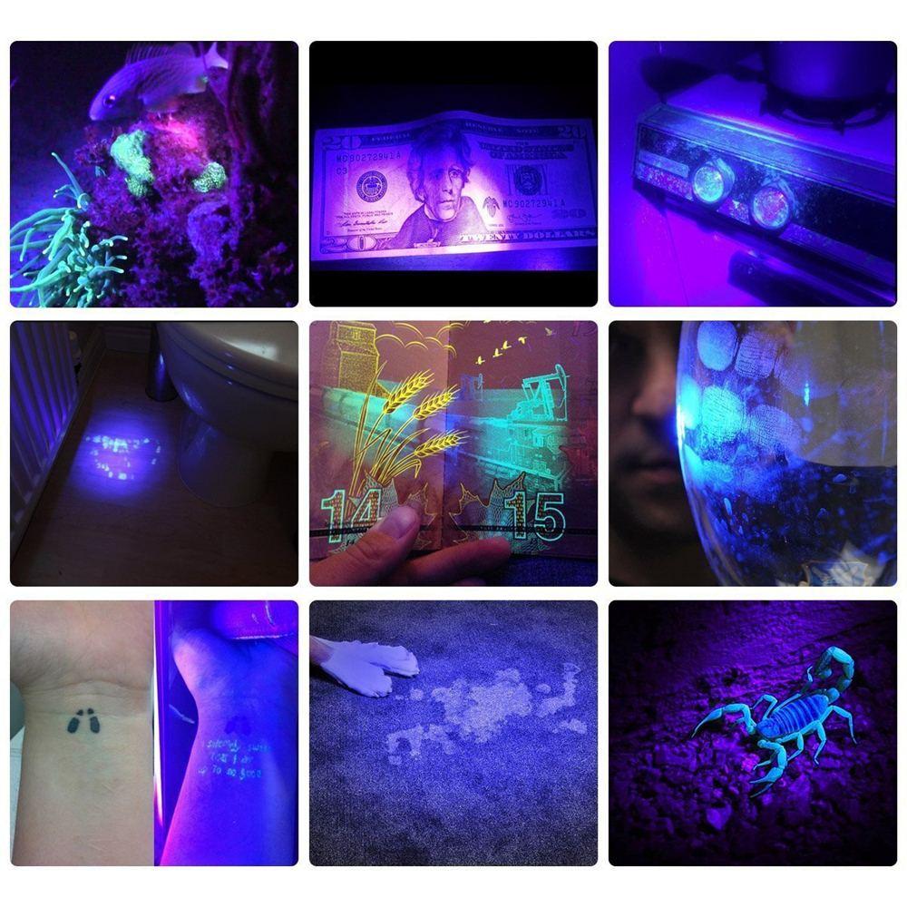 Bright LED Blacklight Flashlight Detector