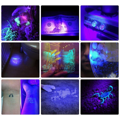 Bright LED Blacklight Flashlight Detector