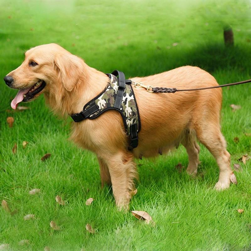 Comfortable Fit Dog Walking Harness - Cofik