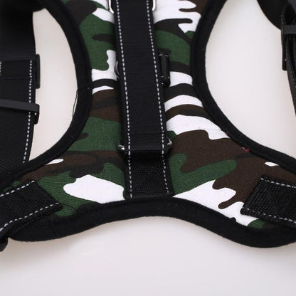 Comfortable Fit Dog Walking Harness