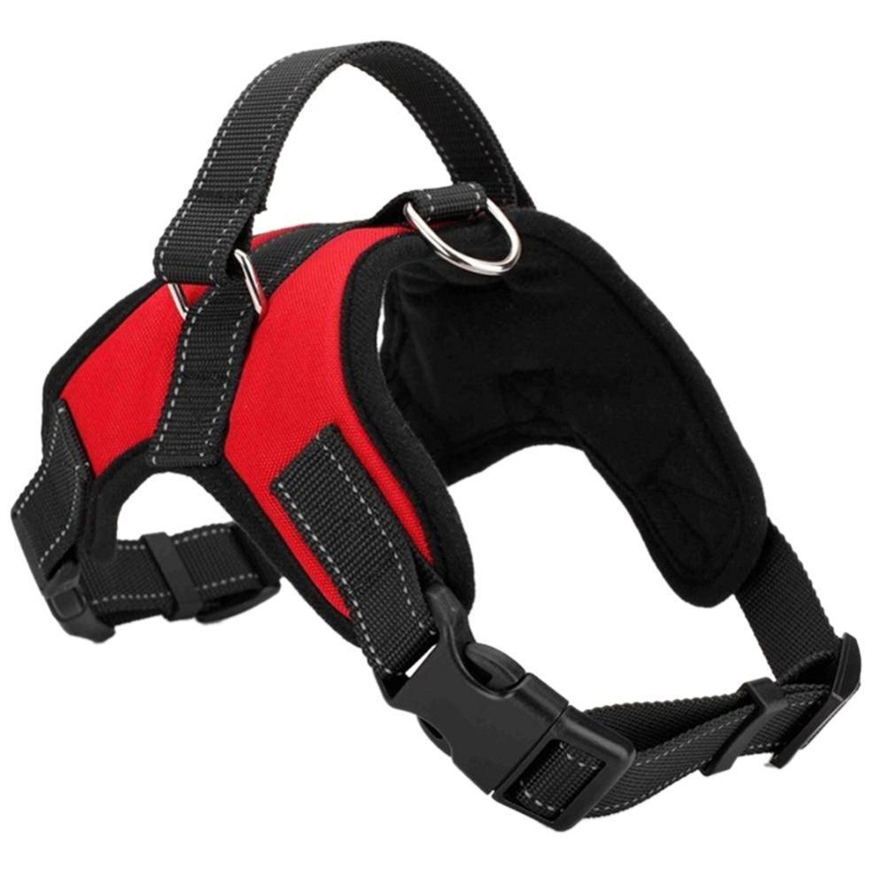 Comfortable Fit Dog Walking Harness