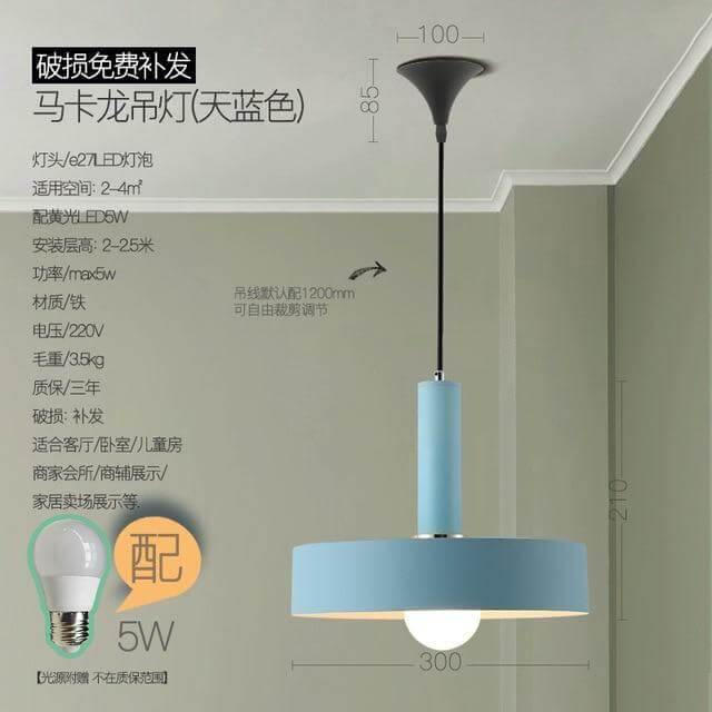 Elegant Modern Ceiling Light Fixture