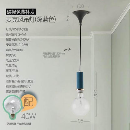 Elegant Modern Ceiling Light Fixture