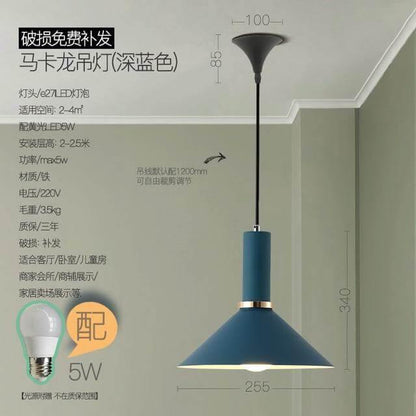 Elegant Modern Ceiling Light Fixture
