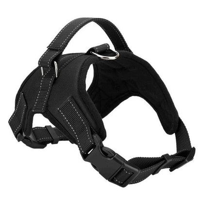 Comfortable Fit Dog Walking Harness