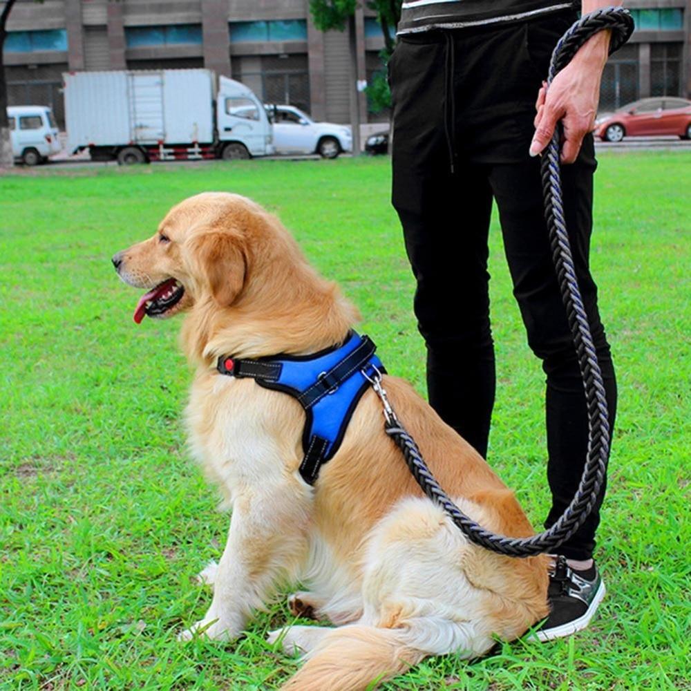 Comfortable Fit Dog Walking Harness