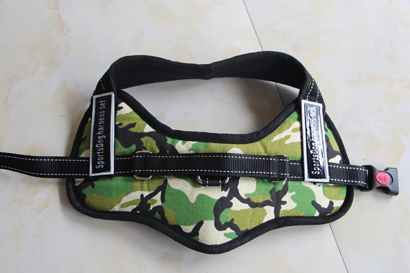 Comfortable Pet Walking Vest