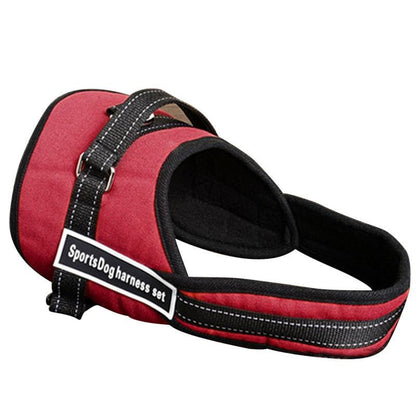Comfortable Pet Walking Vest