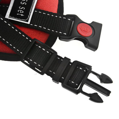 Comfortable Pet Walking Vest