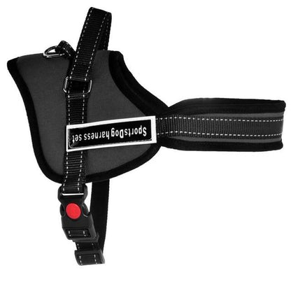 Comfortable Pet Walking Vest