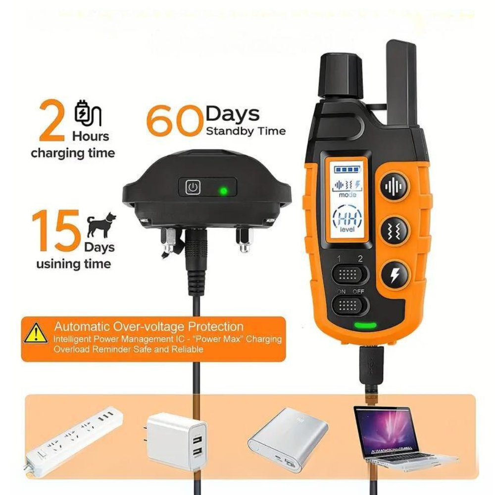Effective Pet Training Collar