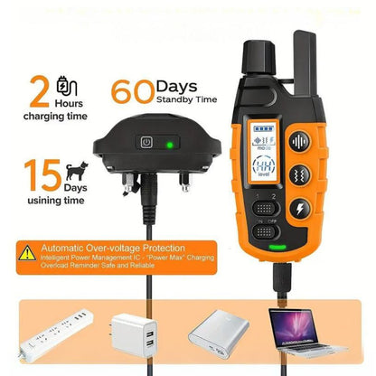 Effective Pet Training Collar