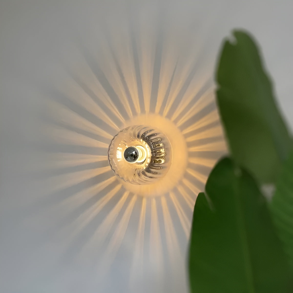 Simple Glass Wall Light – Chic Modern Lamp