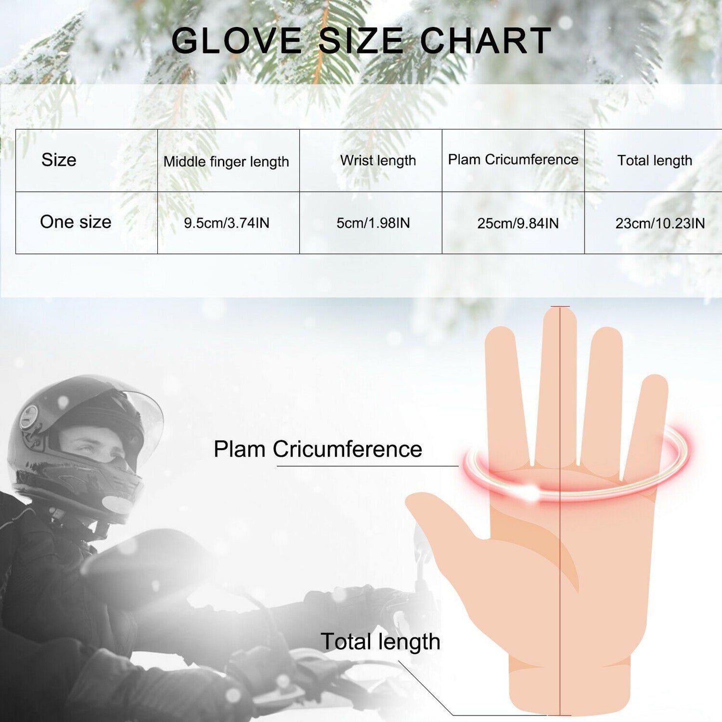 Insulated Warm Waterproof Ski Gloves for Men