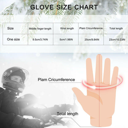 Insulated Warm Waterproof Ski Gloves for Men