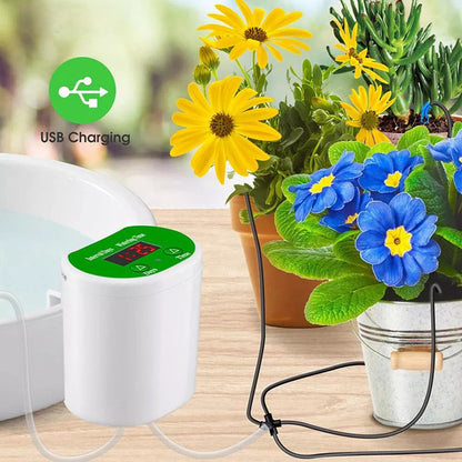 Self Watering Indoor Plant System with Timer Pump