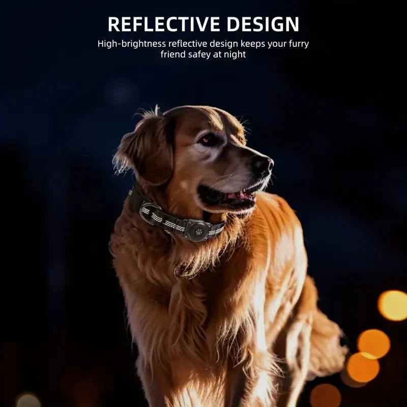Pet GPS Tracking Dog Collar