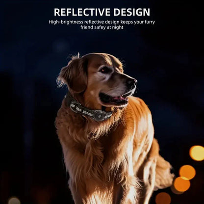 Pet GPS Tracking Dog Collar