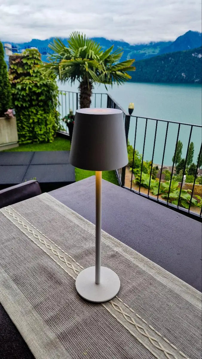 Portable LED Desk Lamp - Rechargeable & Adjustable Brightness