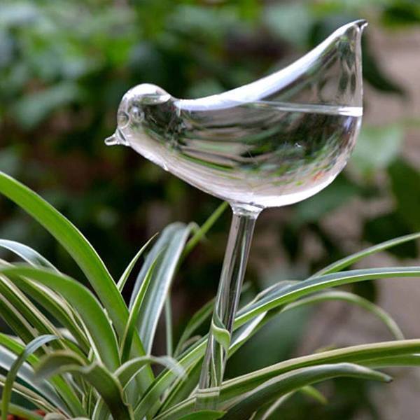 Easy Care Automatic Plant Bulb - Cofik
