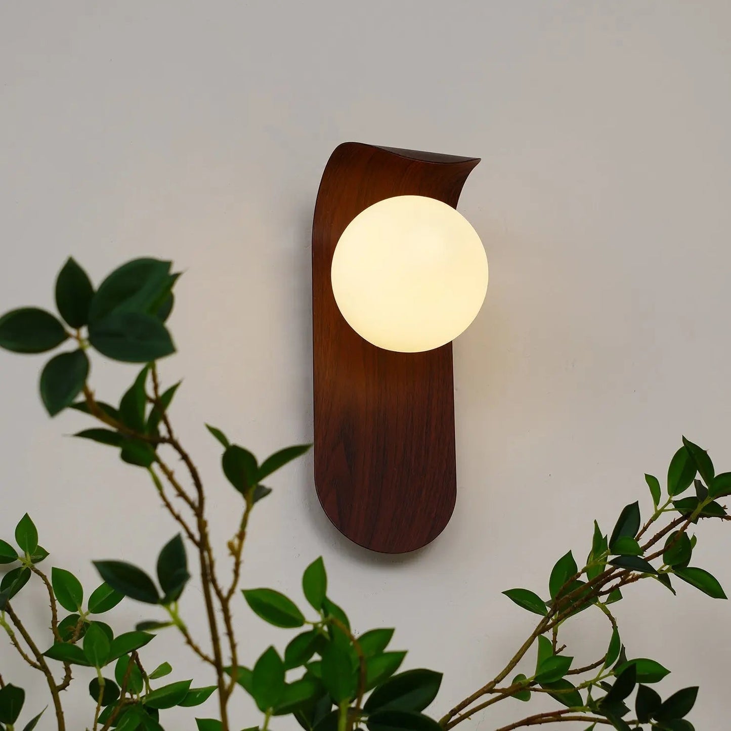 Elegant Contemporary Wall Light Fixture