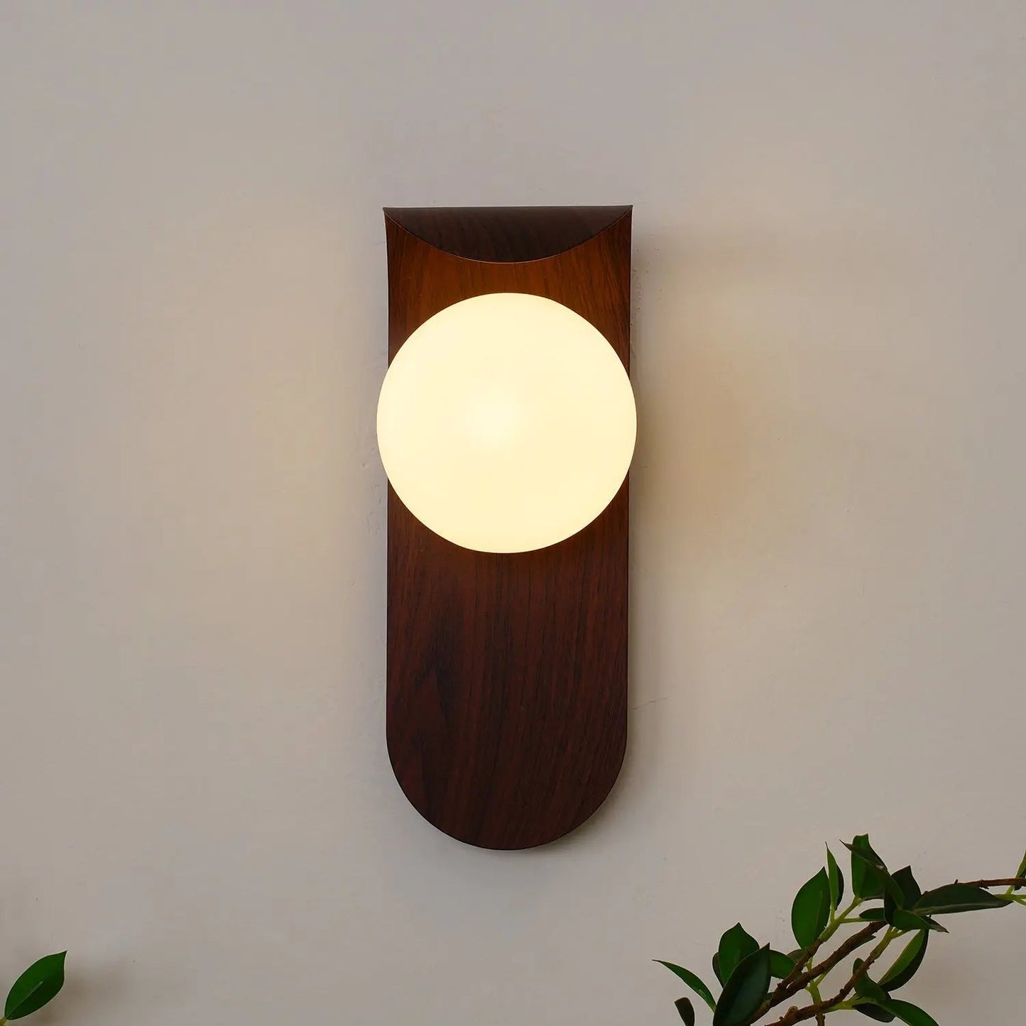 Elegant Contemporary Wall Light Fixture